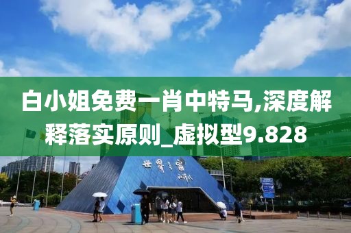 白小姐免费一肖中特马,深度解释落实原则_虚拟型9.828