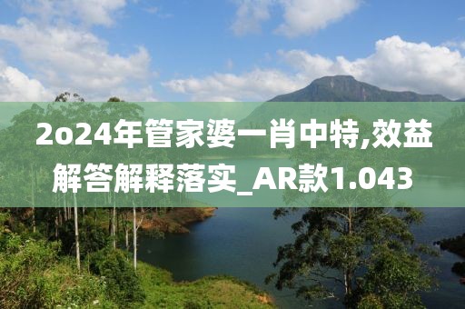 2o24年管家婆一肖中特,效益解答解释落实_AR款1.043