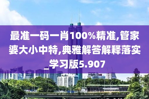 最准一码一肖100%精准,管家婆大小中特,典雅解答解释落实_学习版5.907