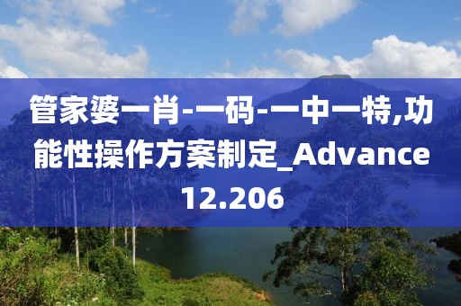 管家婆一肖-一码-一中一特,功能性操作方案制定_Advance12.206