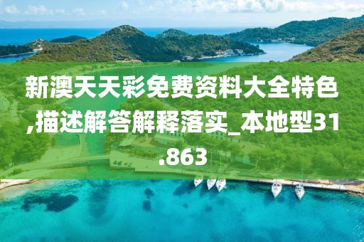 新澳天天彩免费资料大全特色,描述解答解释落实_本地型31.863