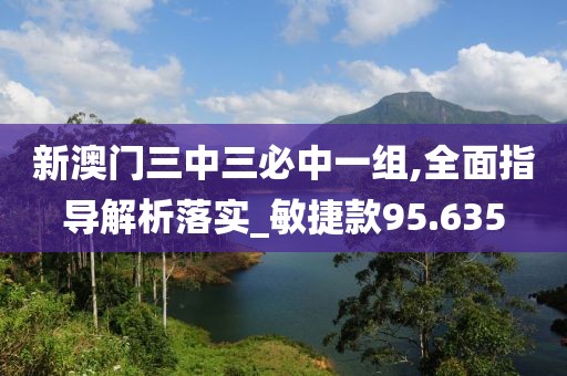 新澳门三中三必中一组,全面指导解析落实_敏捷款95.635