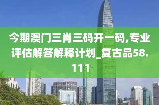 今期澳门三肖三码开一码,专业评估解答解释计划_复古品58.111