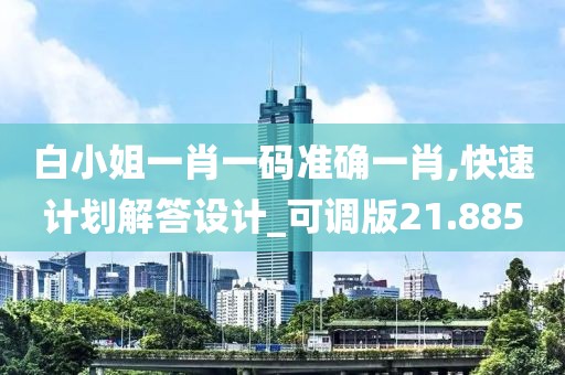 白小姐一肖一码准确一肖,快速计划解答设计_可调版21.885