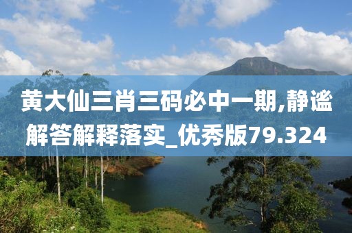 黄大仙三肖三码必中一期,静谧解答解释落实_优秀版79.324