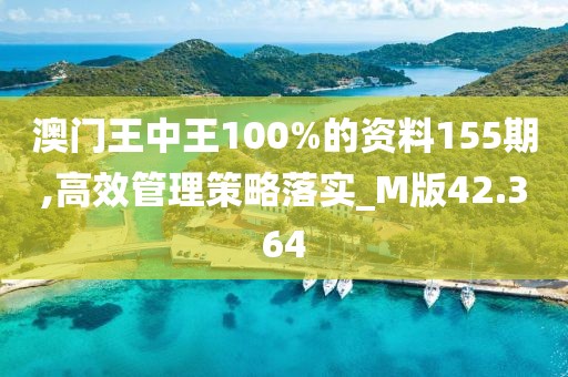 澳门王中王100%的资料155期,高效管理策略落实_M版42.364