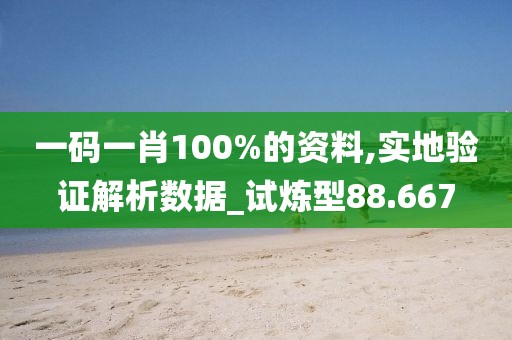 一码一肖100%的资料,实地验证解析数据_试炼型88.667