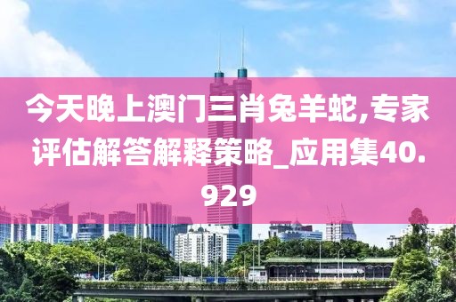 今天晚上澳门三肖兔羊蛇,专家评估解答解释策略_应用集40.929