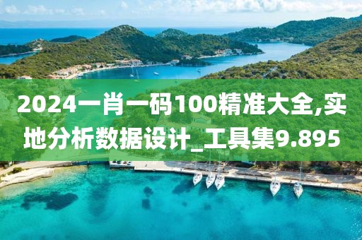 2024一肖一码100精准大全,实地分析数据设计_工具集9.895