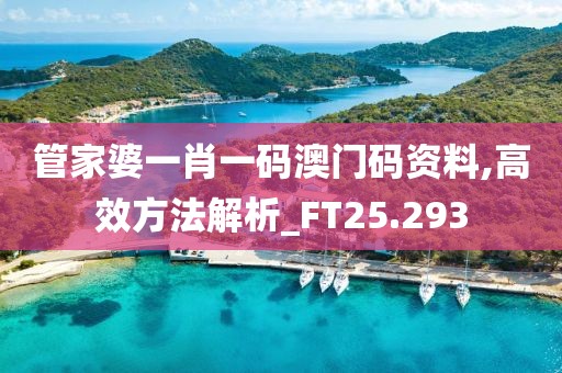 管家婆一肖一码澳门码资料,高效方法解析_FT25.293