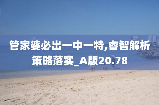 管家婆必出一中一特,睿智解析策略落实_A版20.78