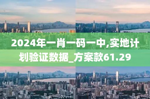 2024年一肖一码一中,实地计划验证数据_方案款61.29