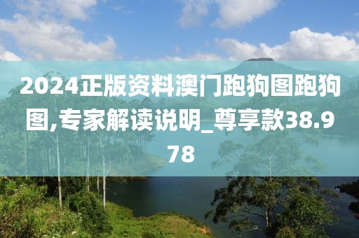 2024正版资料澳门跑狗图跑狗图,专家解读说明_尊享款38.978