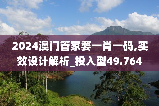 2024澳门管家婆一肖一码,实效设计解析_投入型49.764