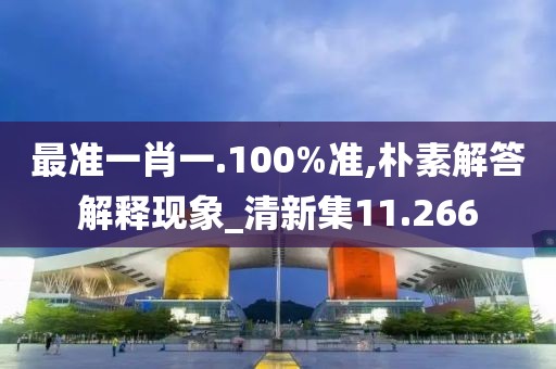 最准一肖一.100%准,朴素解答解释现象_清新集11.266