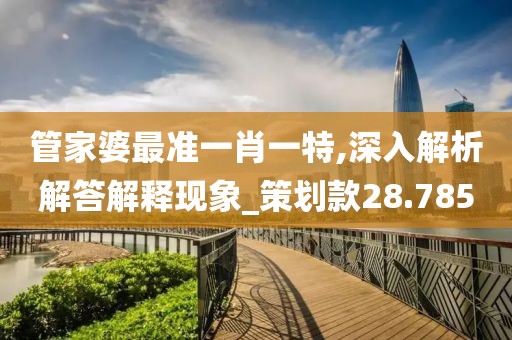 管家婆最准一肖一特,深入解析解答解释现象_策划款28.785
