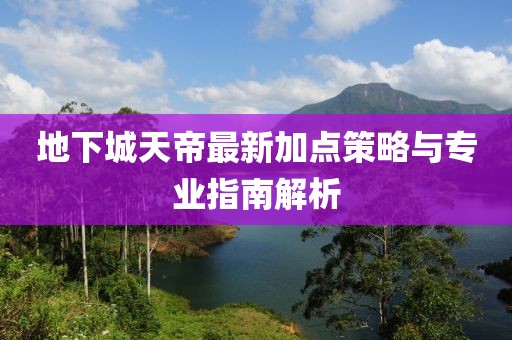 地下城天帝最新加点策略与专业指南解析