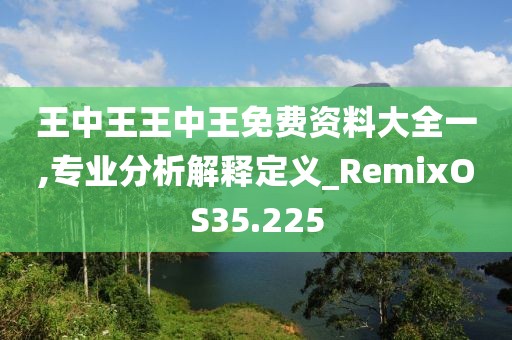 王中王王中王免费资料大全一,专业分析解释定义_RemixOS35.225