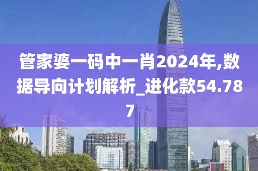 管家婆一码中一肖2024年,数据导向计划解析_进化款54.787