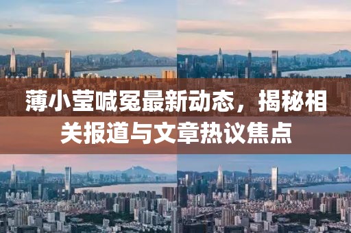 薄小莹喊冤最新动态，揭秘相关报道与文章热议焦点