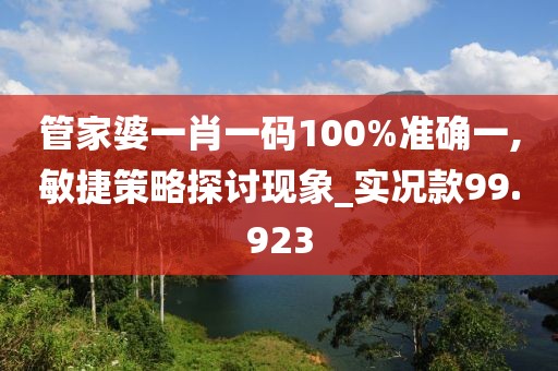 管家婆一肖一码100%准确一,敏捷策略探讨现象_实况款99.923