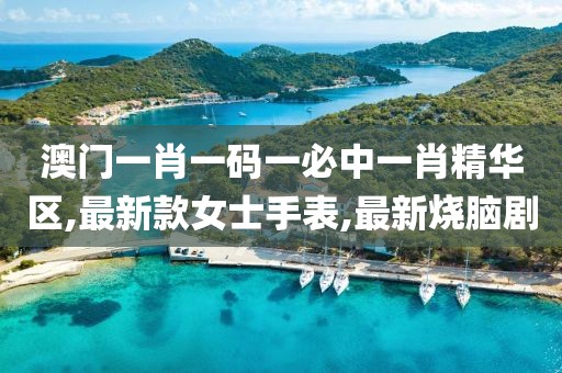 澳门一肖一码一必中一肖精华区,最新款女士手表,最新烧脑剧