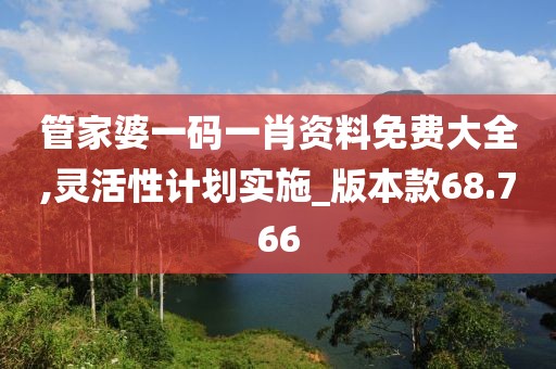管家婆一码一肖资料免费大全,灵活性计划实施_版本款68.766
