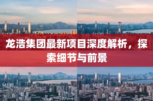 龙浩集团最新项目深度解析，探索细节与前景