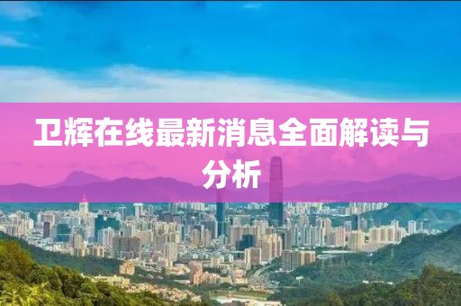 卫辉在线最新消息全面解读与分析