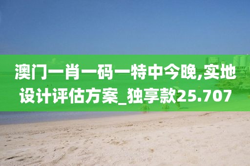澳门一肖一码一特中今晚,实地设计评估方案_独享款25.707