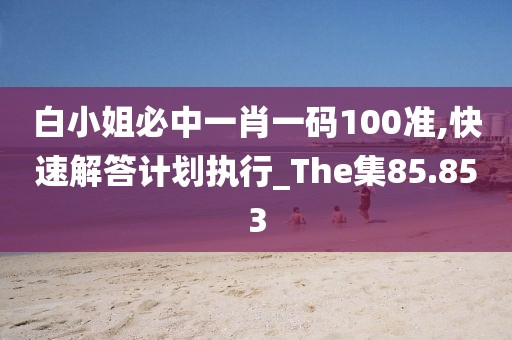 白小姐必中一肖一码100准,快速解答计划执行_The集85.853