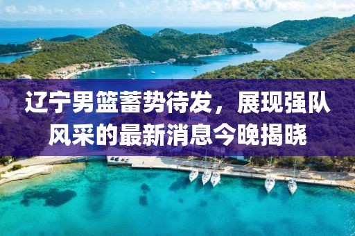 辽宁男篮蓄势待发，展现强队风采的最新消息今晚揭晓