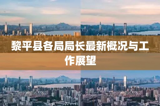 黎平县各局局长最新概况与工作展望