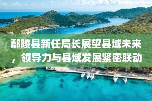 鄢陵县新任局长展望县域未来，领导力与县域发展紧密联动