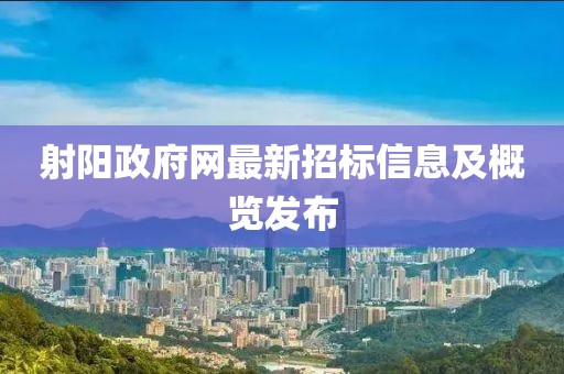 射阳政府网最新招标信息及概览发布