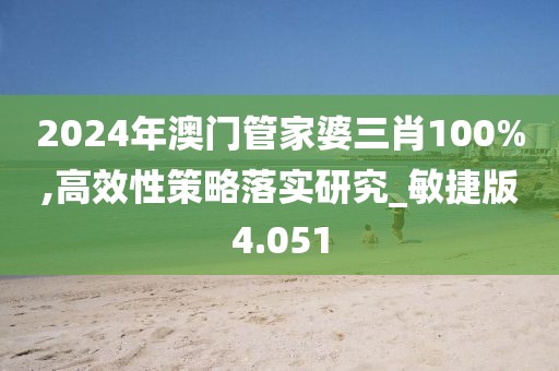 2024年澳门管家婆三肖100%,高效性策略落实研究_敏捷版4.051