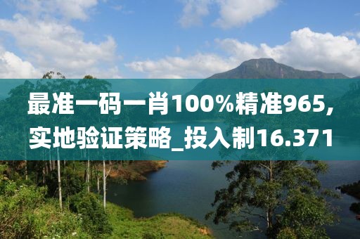 最准一码一肖100%精准965,实地验证策略_投入制16.371