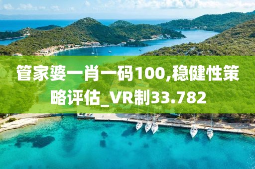 管家婆一肖一码100,稳健性策略评估_VR制33.782