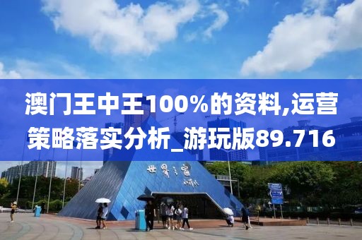 澳门王中王100%的资料,运营策略落实分析_游玩版89.716