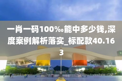 一肖一码100‰能中多少钱,深度案例解析落实_标配款40.163