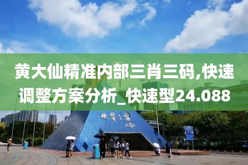 黄大仙精准内部三肖三码,快速调整方案分析_快速型24.088