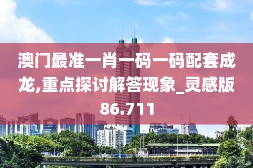 澳门最准一肖一码一码配套成龙,重点探讨解答现象_灵感版86.711