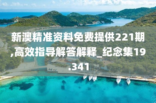 新澳精准资料免费提供221期,高效指导解答解释_纪念集19.341