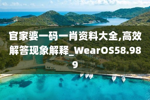 官家婆一码一肖资料大全,高效解答现象解释_WearOS58.989