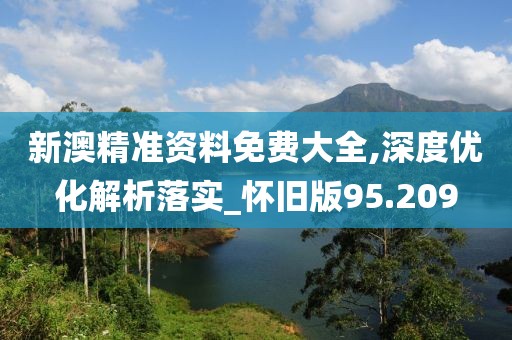 新澳精准资料免费大全,深度优化解析落实_怀旧版95.209