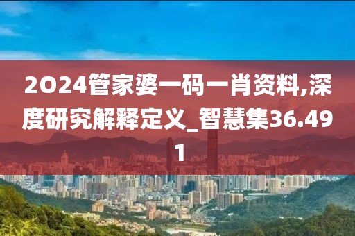 2O24管家婆一码一肖资料,深度研究解释定义_智慧集36.491