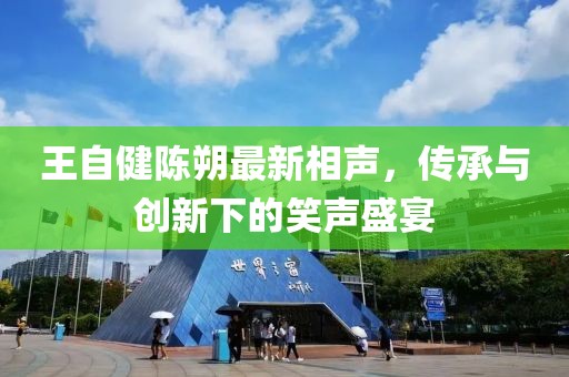 王自健陈朔最新相声，传承与创新下的笑声盛宴