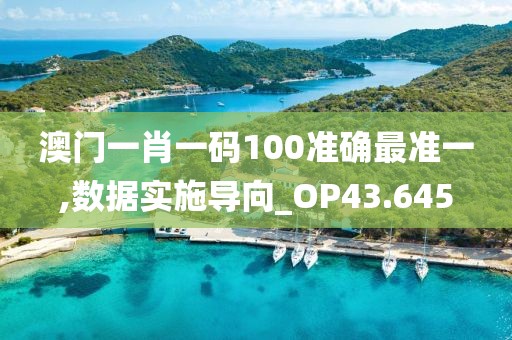 澳门一肖一码100准确最准一,数据实施导向_OP43.645