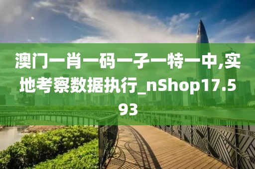 澳门一肖一码一孑一特一中,实地考察数据执行_nShop17.593