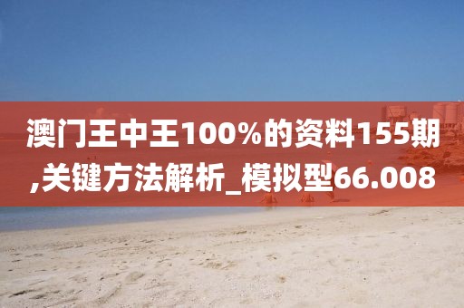 澳门王中王100%的资料155期,关键方法解析_模拟型66.008